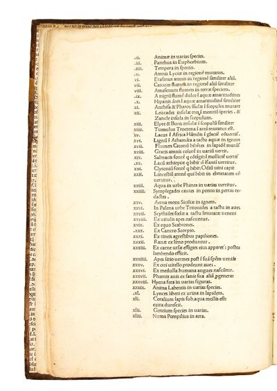 Metamorphoses. Ed. Barnabas Celsanus; (photo 4)