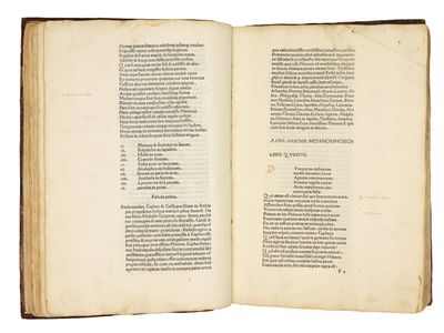 Metamorphoses. Ed. Barnabas Celsanus; (photo 5)