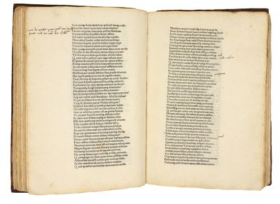 Metamorphoses. Ed. Barnabas Celsanus; (photo 6)
