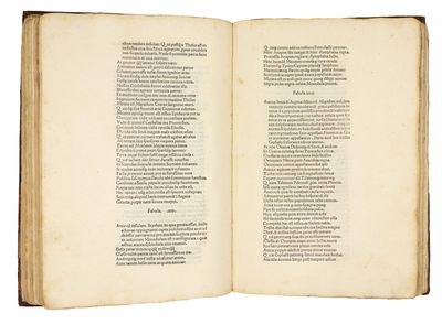 Metamorphoses. Ed. Barnabas Celsanus; (photo 7)