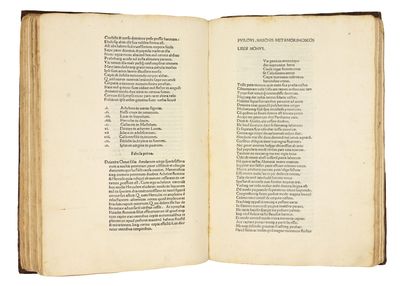 Metamorphoses. Ed. Barnabas Celsanus; (photo 8)
