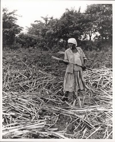 Compañeras and Compañeros (Archive of ten original photographs from the 1970 film)