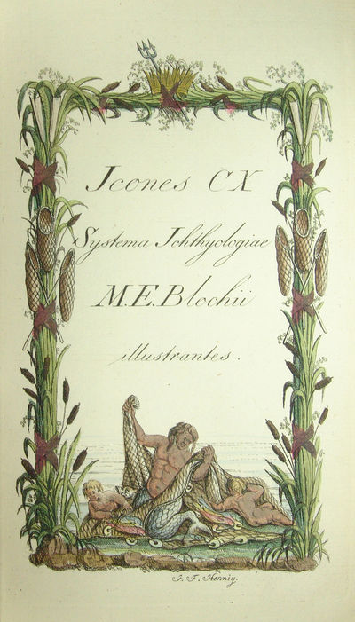 Systema Ichthyologiae iconibus CX illustratum. Post obitum auctoris opus inchoatum absolvit, correxit, interpolavit Jo. Gottlob Schneider, Saxo. - [ALL THE FISH OF THE WORLD] (photo 3)