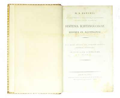Systema Ichthyologiae iconibus CX illustratum. Post obitum auctoris opus inchoatum absolvit, correxit, interpolavit Jo. Gottlob Schneider, Saxo. - [ALL THE FISH OF THE WORLD] (photo 4)