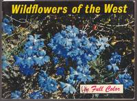 Wildflowers of the West - Highlights of Western Australia's Unique Native Flora