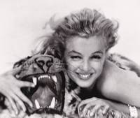 Original photograph of Marilyn Monroe by Richard Avedon, 1957 by Marilyn Monroe (subject); Richard Avedon (photographer) - 1957