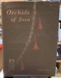 Orchids of Java (Book in Japanese) by J.B.Comber - Paperback - 1990 - from Librairie_Chat (SKU: 21093022212102152)