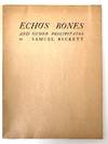 Echo’s Bones and Other Precipitates
