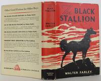 image of The Black Stallion