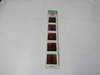 5 Pana-Vue Travel Slides From Old Slave Museum, Charleston SC