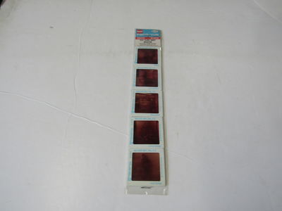 5 Pana-Vue Travel Slides From Old Slave Museum, Charleston SC