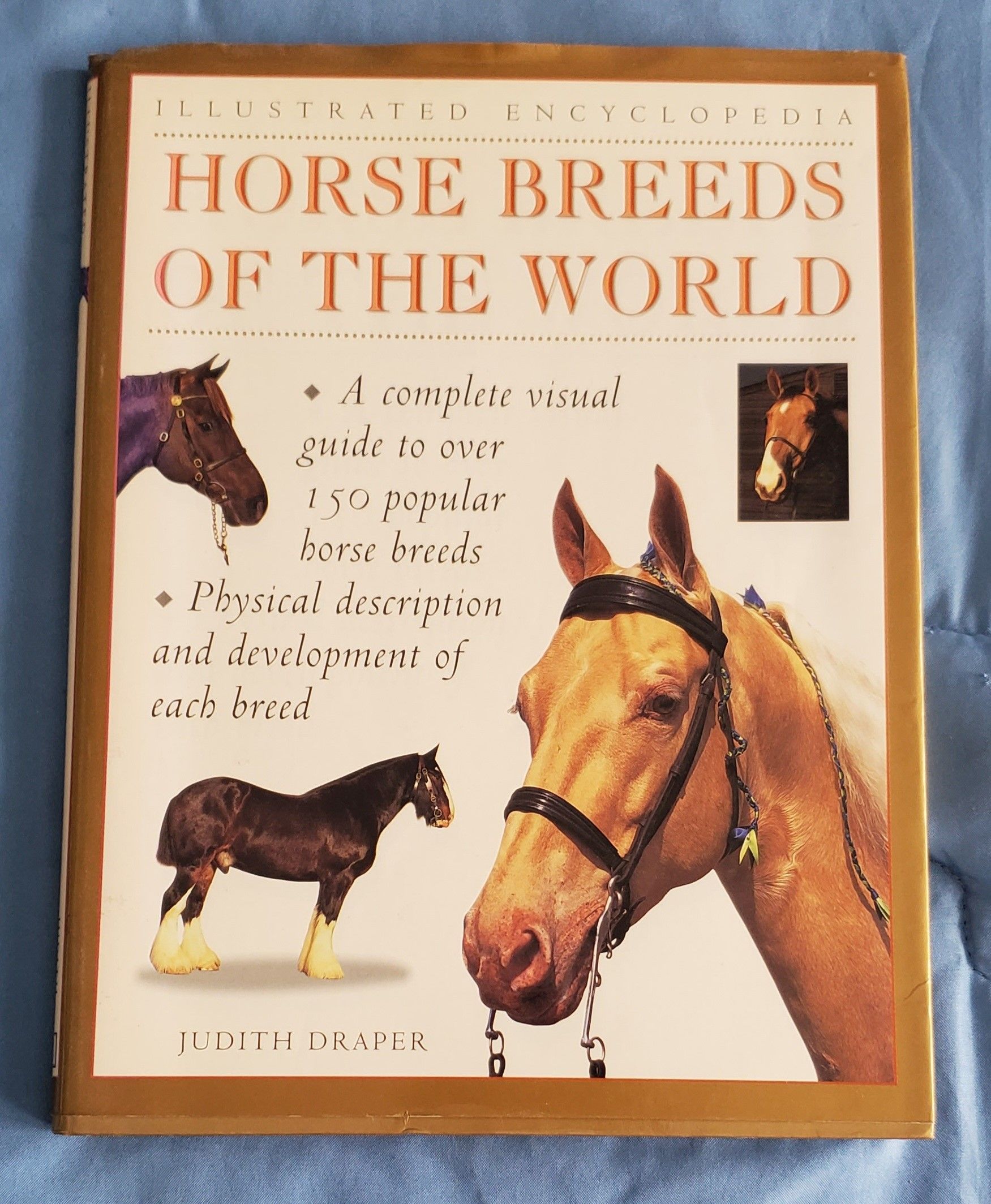 Horse Breeds&Breeding-Jane Kidd 洋書 Horse Breeds&Breeding-Jane Kidd 洋書 - メルカリ