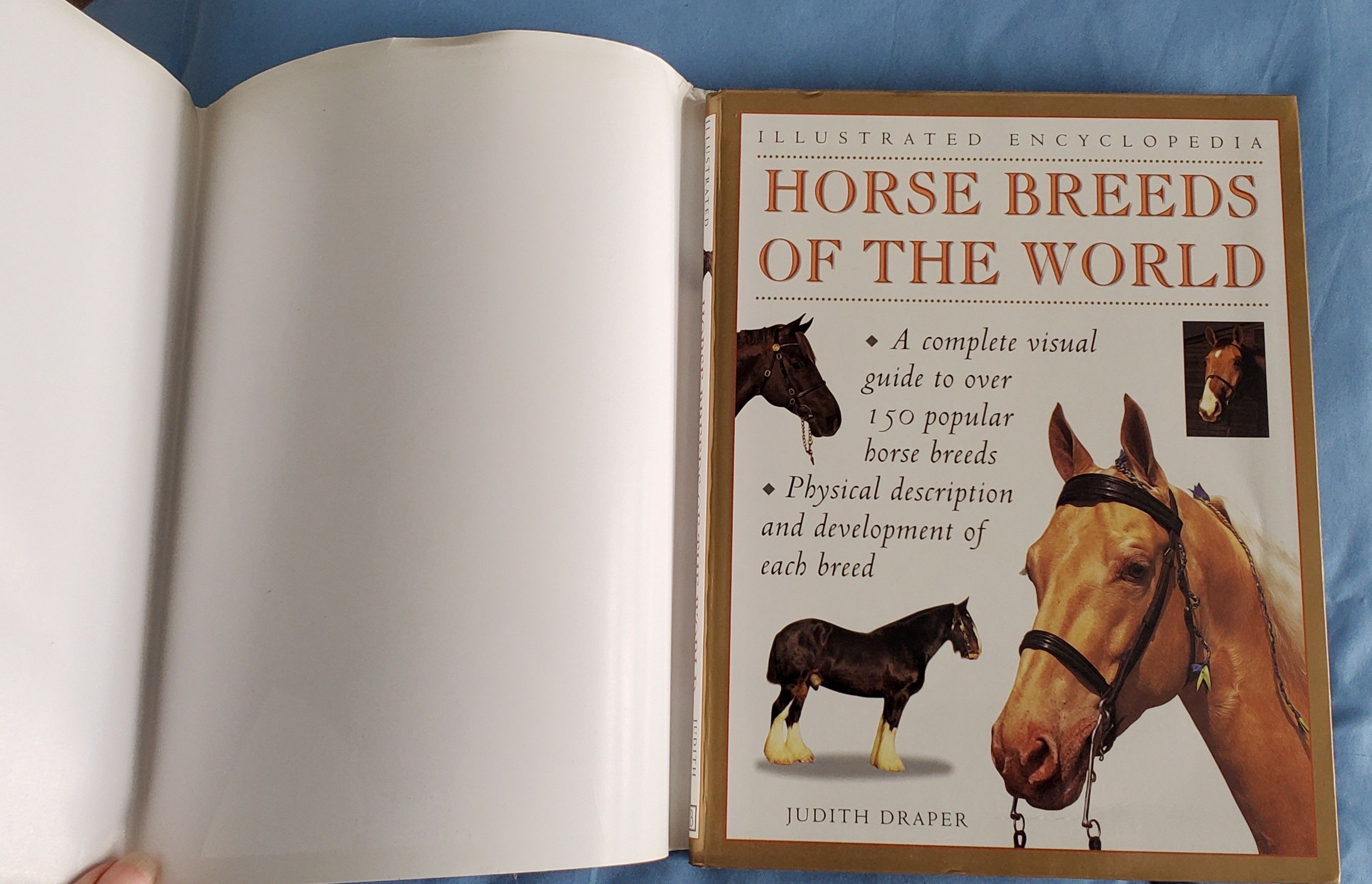 Horse Breeds&Breeding-Jane Kidd 洋書 The Horse: The Complete Guide to Breeds and Breeding: JANE