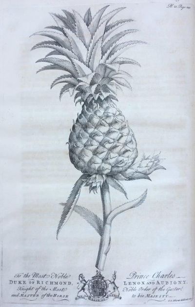 The Natural History of Barbados. In Ten Books.