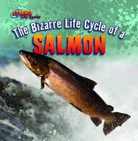 The Bizarre Life Cycle of a Salmon