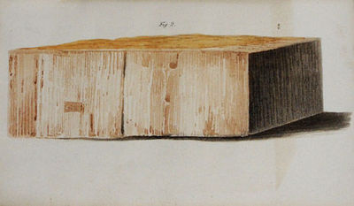 A treatise on dry rot