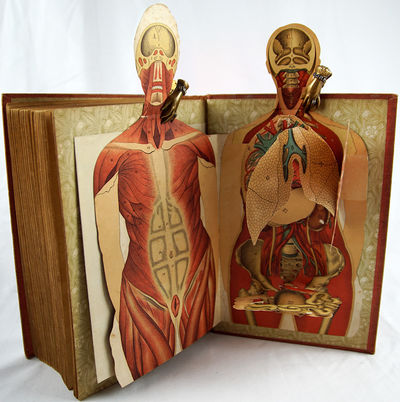 De nieuwe geneeswijze : leerboek der...; (photo 4)