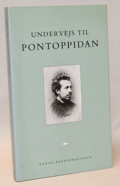 Undervejs til Pontoppidan.