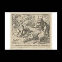 Metamorphoses of Ovidius, Photo Rag Bright White, Premium Quality, A3