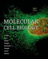 image of Molecular Cell Biology