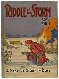 Riddle of the Storm (A Mystery Story for Boys)