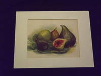 The Flower Grower's Guide: Figs.