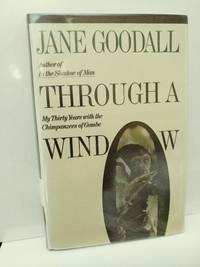 image of Through a Window