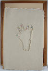 Epodes: First Poems; (photo 4)