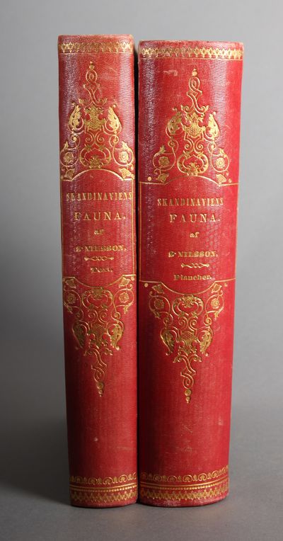 Illuminerade figurer till Skandinaviens fauna,…