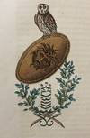 [WOMAN AUTHOR / ILLUSTRATOR OF PAGAN...; (photo 11)