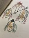 [WOMAN AUTHOR / ILLUSTRATOR OF PAGAN...; (photo 8)
