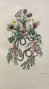 [WOMAN AUTHOR / ILLUSTRATOR OF PAGAN...; (photo 9)