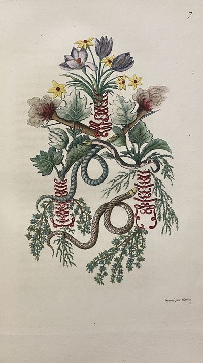 [WOMAN AUTHOR / ILLUSTRATOR OF PAGAN...; (photo 9)