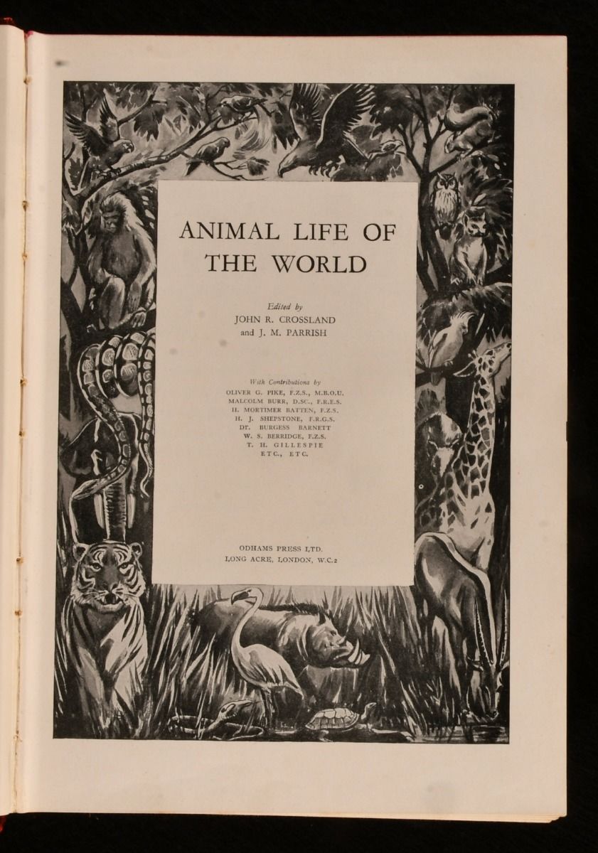 希少 洋書 1942年 古書 Animal Life Of The 希少 洋書 1942年