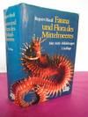 Fauna und Flora des Mittelmeeres