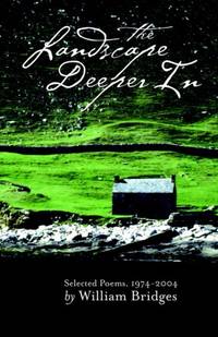 The Landscape Deeper in