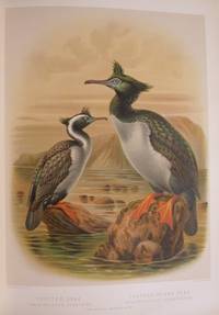 A History Of The Birds Of New Zealand by BULLER, Sir Walter Lowry [1838-1906]