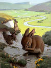 Rabbits with a pastoral valley below.