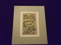 Paradisi in Sole Paradisus Terrestris or, Garden of All Sorts of Pleasant Flowers…