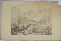 View near Seatoller Borrowdale by W.F. Wells