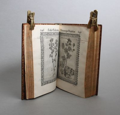 Minus cognitarum rariorumque nostro coelo orientium stirpium ekphrasis. Qua non paucæ ab antiquioribus Theophrasto, Dioscoride, Plinio, Galeno aliisque descriptæ... Item de aquatilibus aliisque nonnullis animalibus... Bound with: Purpura. Hoc est de purpura ab animali testaceo fusa, de hoc ipso animali, aliisque rarioribus testaceis quibusdam. Bound with: Minus cognitarum stirpipium Pars Altera: In qua non tam nouæ plures plantæ cæg rariores á nemine hactenus, aut animadversæ aut descritæ nunc primum propontur, quam niónnullæ aliæ apud antiquos dubiæ, atq. obsuræ dilucidantur. Bound with: Franciscus Imperatus: De Fossilibus Opusculum. (photo 4)