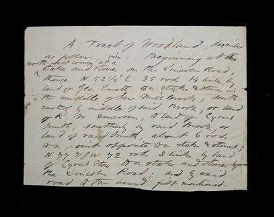Manuscript Land Survey
