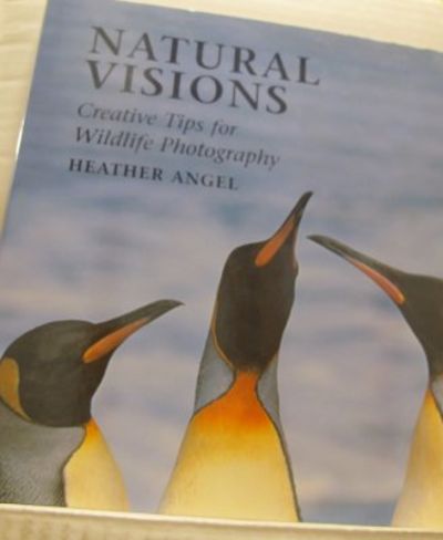 Natural Visions. Creative Tips for Wildlife…
