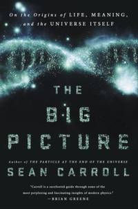 The Big Picture : On the Origins of Life, Meaning, and the Universe Itself