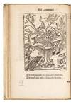 View Image 6 of 14 for Aff-ghebeelde Narren Speel-schuyt, verciert met meer als hondert schoone figueren nae den aert van v... Inventory #5122