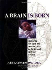A Brain is Born: Exploring the Birth and Development of the Central Nervous System