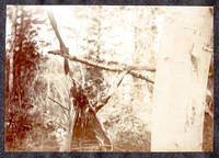 Thumbnail 22