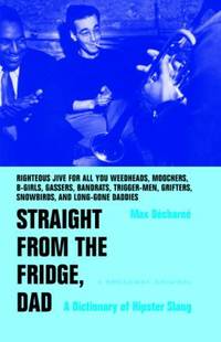 Straight from the Fridge Dad : A Dictionary of Hipster Slang