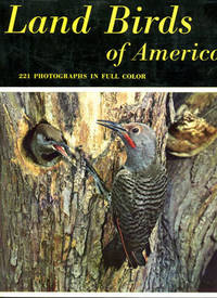 Land Birds of America.