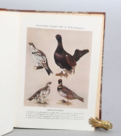 Norsk ornithologisk tidsskrift. Serie I-IV (nr. 1-15). Redaktør: H. Tho. L. Schaaning, Stavanger Museum. Komplett. (photo 2)